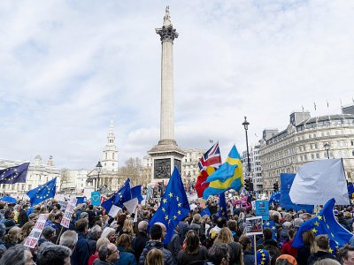 Manifestation des anti-Brexit à Londres, le 23 mars 2019 - Niklas HALLE'N [AFP]