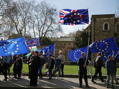 Des manifestants anti-Brexit à proximité du Parlement britannique, le 25 mars 2019 à Londres - Daniel LEAL-OLIVAS [AFP]