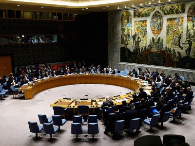 Réunion du Conseil de sécurité de l'ONU, le 26 février 2019 à New York - Johannes EISELE [AFP/Archives]