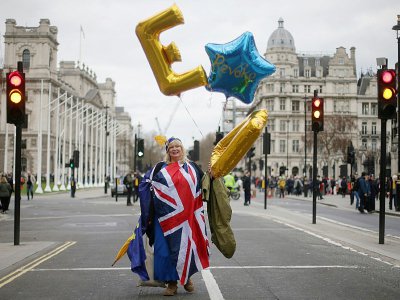 Un militant anti-Brexit manifeste près du Parlement à Londres le 27 mars 2019 - Daniel LEAL-OLIVAS [AFP]
