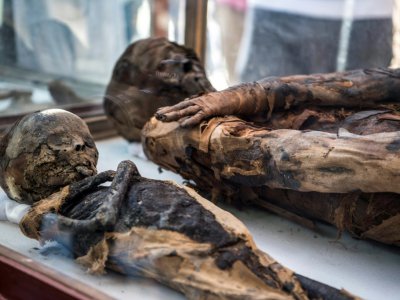 Des momies découvertes dans une tombe datant de l'ère ptolémaïque, le 5 avril 2019 à Al-Diabat, près de la ville d'Akhmin, en Egypte - Khaled DESOUKI [AFP]