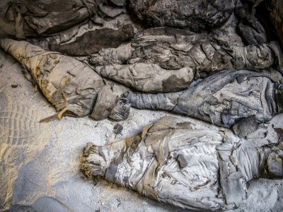 Des momies d'animaux découvertes dans une tombe datant de l'ère ptolémaïque, le 5 avril 2019 à Al-Diabat, près de la ville d'Akhmin, en Eqypte - Khaled DESOUKI [AFP]