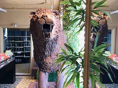 Le lion sculpté par Olivier Hautot dans du chocolat, en vitrine dans sa boutique de Fécamp. - Olivier Hautot