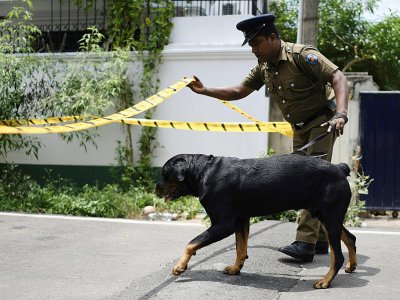 Un policier sri-lankais et son chien inspectent le 23 avril 2019 une zone autour de la maison de l'un des suspects dans les attentats suicide à Colombo - Mohd RASFAN [AFP]