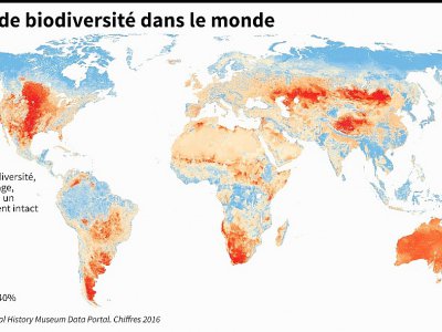 Perte de biodiversité dans le monde - Simon MALFATTO [AFP]