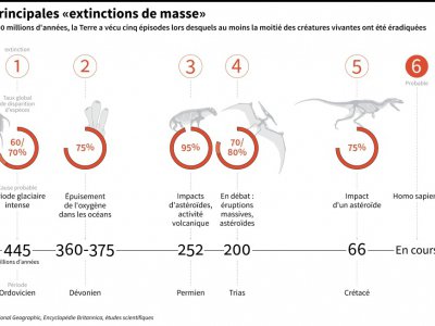 Les principales "extinctions de masse" - Alain BOMMENEL [AFP]
