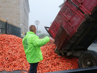 Le déversement de carottes, ce matin, devant les grilles de la préfecture - .Thierry Valoi