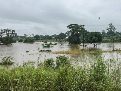 Des champs inondés à la suite du passage du cyclone Kenneth, dans la région de Pemba, dans le nord du Mozambique, le 28 avril 2019 - GREGORY WALTON [AFP]