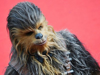 Chewbacca en train de laisser des poils sur le tapis rouge de la présentation "Solo: A Star Wars Story" au festival du film de Cannes (France), le 15 mai 2018 - Antonin THUILLIER [AFP/Archives]
