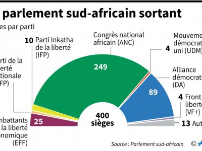 Le parlement sud-africain sortant - Vincent LEFAI, Valentina BRESCHI [AFP]