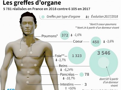 Les greffes d'organe - Jean-Michel CORNU [AFP]