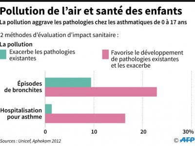 Pollution de l'air et santé des enfants - Vincent LEFAI [AFP]