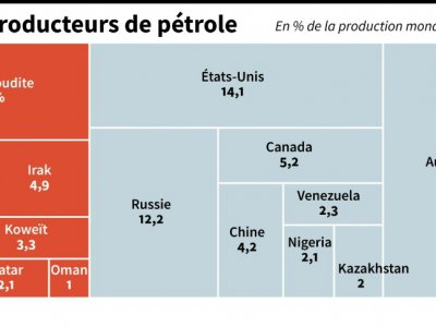 La part de production de pétrole brut par pays en 2017, en pourcentage - [AFP]