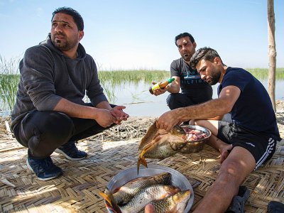 Des touristes irakiens grillent des poissons lors d'une sortie dans les marais du sud de l'Irak, le 29 mars 2019 à Chibayich - Hussein FALEH [AFP]