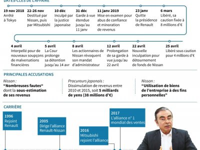 Carlos Ghosn - Gal ROMA [AFP/Archives]