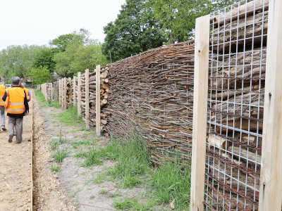 Les clôtures sont fabriquées avec des branches recyclées d'arbres coupés dans le parc. - Amaury Tremblay
