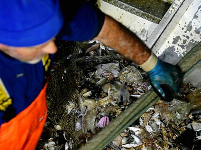 Des pêcheurs italiens remontent des poissons et des déchets en plastique dans leurs filets, le 23 mai 2019 au large de San Benedetto del Tronto, en Italie - Filippo MONTEFORTE [AFP]