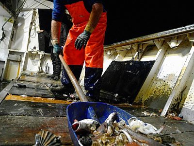 Un pêcheur récolte des déchets en plastique pris dans les filets, le 23 mai 2019 au large de San Benedetto del Tronto, en Italie - Filippo MONTEFORTE [AFP]