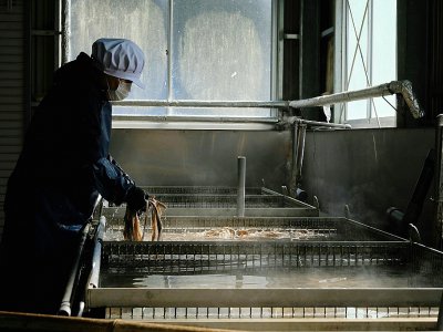 Un ouvrier d'une usine de fabrication de washi retire les impuretés à la main dans le bain de trempage, le 15 mars 2019 à Hidaka, au Japon - Kazuhiro NOGI [AFP]