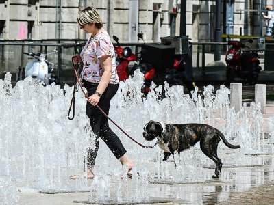 Une femme promène son chien dans une fontaine à Lyon, le 24 juin 2019 - PHILIPPE DESMAZES [AFP]