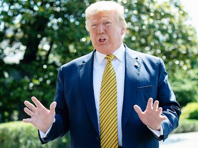 Donald Trump le 22 juin 2019 à Washington - SAUL LOEB [AFP/Archives]