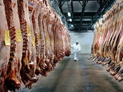 Un employé inspecte des carcasses de boeuf dans une usine de transformation de la viande de la coopérative Yaguane le 29 juillet 2005 dans la province de Buenos Aires, en Argentine. - DANIEL GARCIA [AFP/Archives]