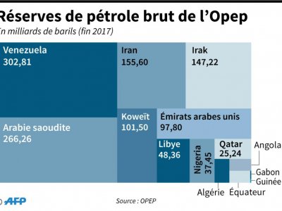 Réserves de pétrole brut de l'Opep - AFP [AFP]