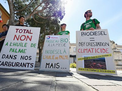Rassemblement de défenseurs de l'environnement contre la bioraffinerie de La Mède, le 14 avril 2017, à Chateauneuf-les-Martigues, dans les Bouches-du-Rhône - ANNE-CHRISTINE POUJOULAT [AFP/Archives]