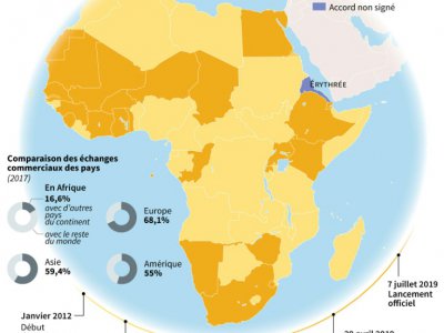 La Zone de libre-échange continentale en Afrique (Zlec) - [AFP]
