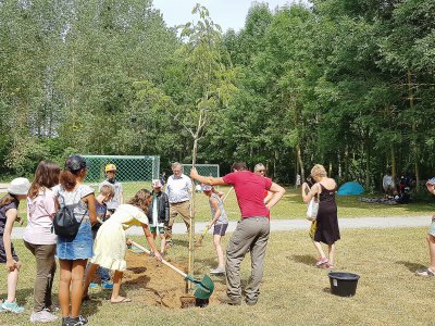 Les enfants du CME-CMJ d'Ifs plantent un arbre à soie avec le maire Michel Patard-Legendre, mercredi 10 juillet 2019, pour inaugurer les nouveaux équipements.  - Marthe Rousseau