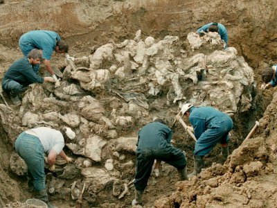 Des légistes du tribunal international pour les crimes de guerre à La Haye dégagent des corps partiellement décomposés trouvés dans une fosse commune, le 14 juillet 1996 à Pilica, au nord-est de Sarajevo - Odd ANDERSEN [AFP/Archives]