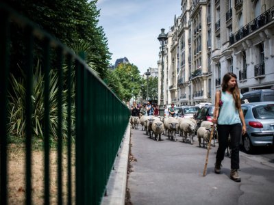 Il était une bergère... dans les rues de Paris le 17 juillet 2019 - Martin BUREAU [AFP]