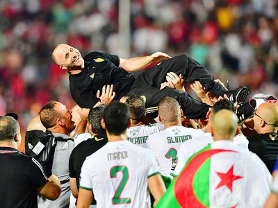 Le sélectionneur de l'Algérie Djamel Belmadi porté par ses joueurs en liesse après la victoire face au Sénégal en finale de la CAN-2019, le 19 juillet 2019 au Caire - Giuseppe CACACE [AFP]