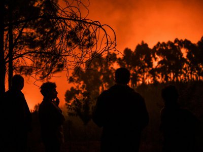 Des habitants regardent un incendie dans la forêt d'Améndoa, le 21 juillet 2019 au Portugal - PATRICIA DE MELO MOREIRA [AFP]
