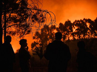 Des habitants regardent un incendie dans la forêt d'Améndoa, le 21 juillet 2019 au Portugal - PATRICIA DE MELO MOREIRA [AFP]