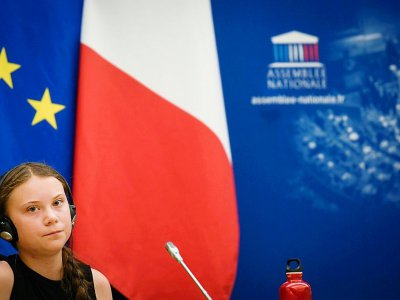 La jeune Suédoise Greta Thunberg reçue à l'Assemblée nationale, le 23 juillet 2019 à Paris - Lionel BONAVENTURE [AFP]