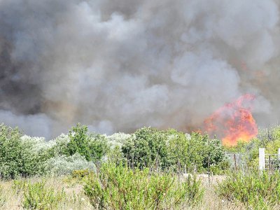 Le feu fait rage à Vauvert (Gard) dans le secteur où s'est écrasé un bombardier d'eau, le 2 août 2019 - Pascal GUYOT [AFP]