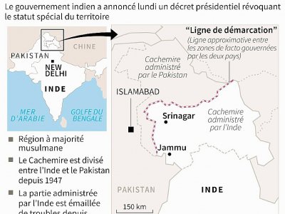 Le Cachemire en Inde - [AFP]