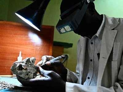 Un employé du musée national de Nairobi nettoie un fossile, le 23 mai 2019 au Kenya - SIMON MAINA [AFP]