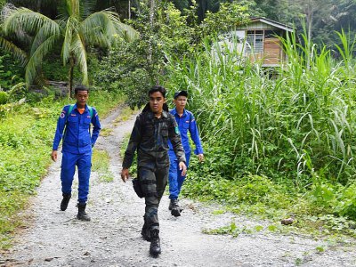 Des membres d'une équipe de recherches pour retrouver la jeune Nora Quoirin disparue en Malaisie, dans la région de Seremban le 13 août 2019 - Mohd RASFAN [AFP]