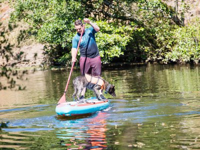 Yohan Ozanne pratique le cani-paddle depuis deux ans. Sa chienne, Thétis apprend à garder l'équilibre sur le paddle. - Yohan Ozanne