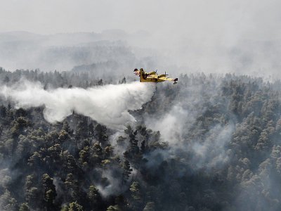 Un Canadair procède à un larguage d'eau près du village de Kontodespoti sur l'île grecque d'Eubée en proie à un incendie, le 14 août 2019 - LOUISA GOULIAMAKI [AFP]