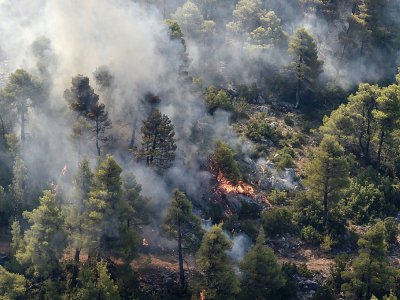 L'incendie fait rage près du village de Stavros sur l'île grecque d'Eubée, le 14 août 2019 - LOUISA GOULIAMAKI [AFP]