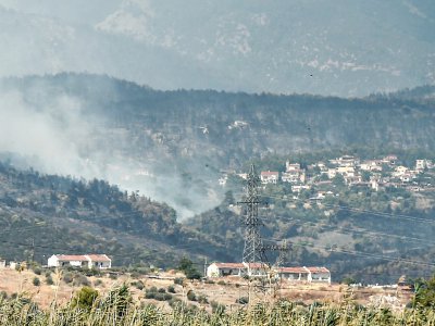 La fumée d'un incendie de forêt s'élève près du village de Psachna sur l'île grecque d'Eubée le 14 août 2019 - LOUISA GOULIAMAKI [AFP]
