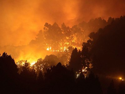 Dernier incendie en date sur l'île espagnole de Grande Canarie, le 17 août 2019 - DESIREE MARTIN [AFP]