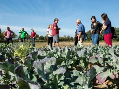 Le journaliste Douwe Korting informe les consommateurs locaux de l'état des champs de légumes de la ferme collective de Boxtel, le 13 octobre 2018 - Floor Fortunati [Herenboeren Nederland Foundation/AFP/Archives]