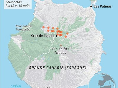 Incendies sur l'île de Grande Canarie - Jean-Michel CORNU [AFP]
