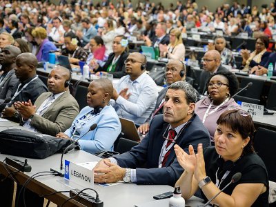Délégués envoyés à la CITES, le 17 août 2019 à Genève - FABRICE COFFRINI [AFP]