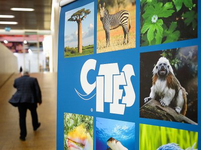Affiche annonçant la conférence internationale CITES le 17 août 2019 à Genève, jour de son ouverture - FABRICE COFFRINI [AFP/Archives]