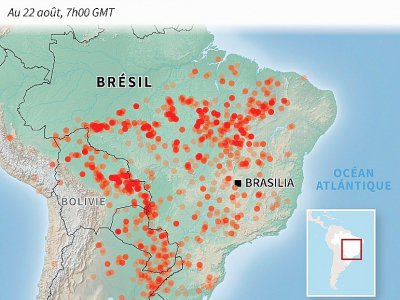 Incendies en Amazonie - [AFP]